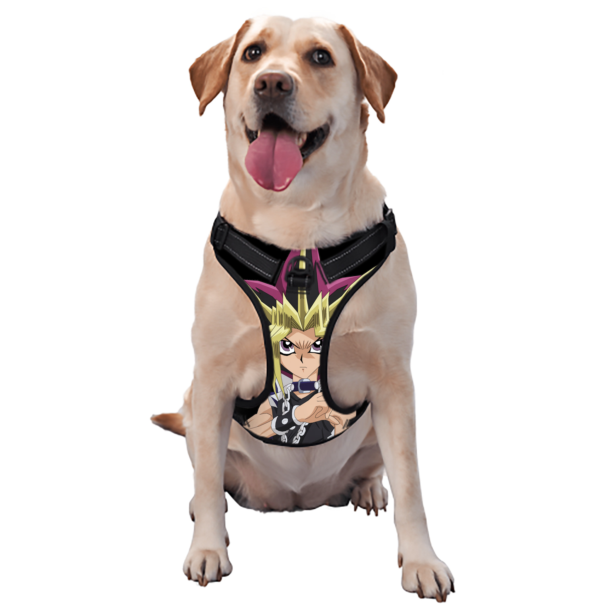 （画像用） 遊☆戯☆王 Yu-Gi-Oh! ペット用ハーネス